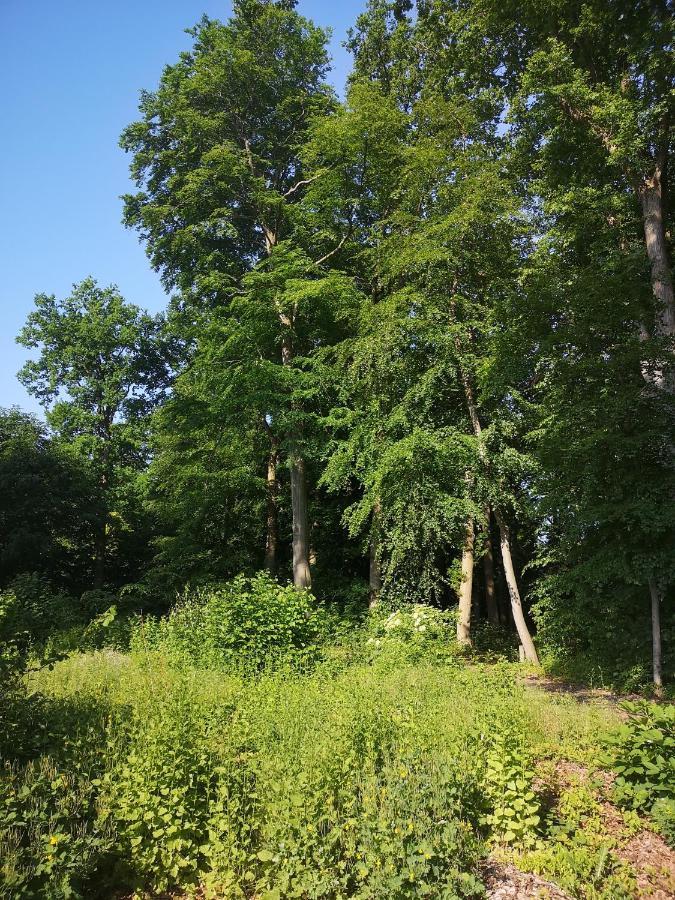 Gaestehaus Maria Rast Suderburg Exteriér fotografie